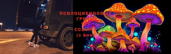 PSILOCYBIN Медногорск