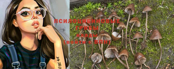 PSILOCYBIN Медногорск