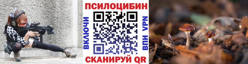 Псилоцибиновые грибы Cubensis  Гаджиево 